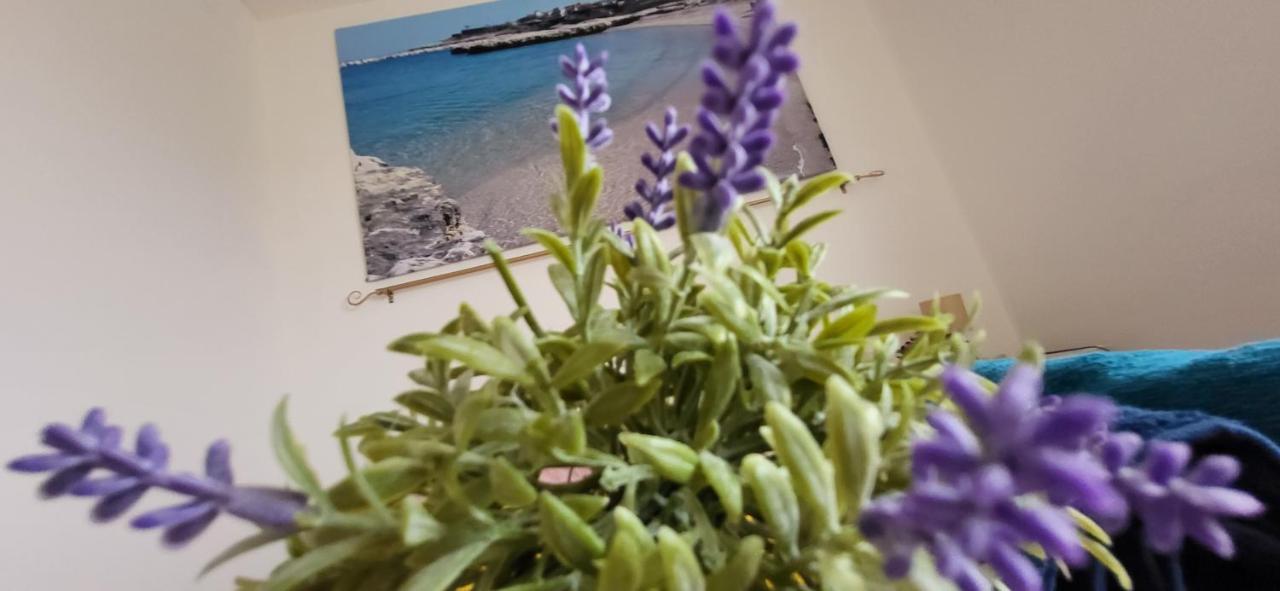 Ferienwohnung Bradisc'House Porto Torres Exterior foto