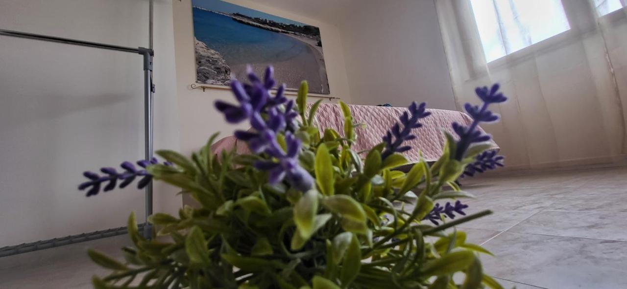 Ferienwohnung Bradisc'House Porto Torres Exterior foto